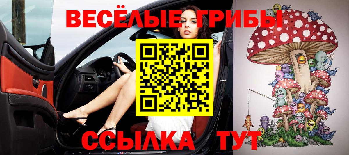 Псилоцибиновые грибы MAGIC MUSHROOMS Грязи