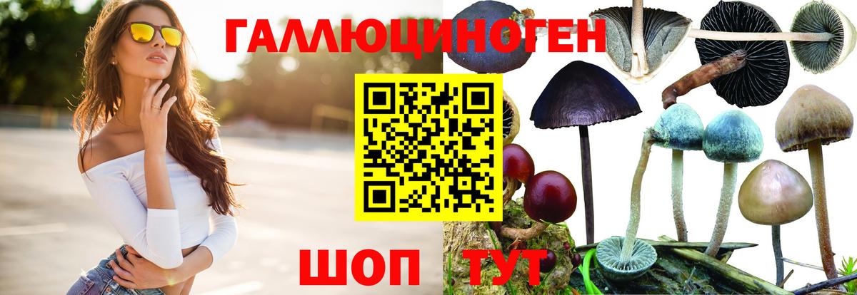 закладки  Галлюциногенные грибы Cubensis  Вход с VPN  Грязи 